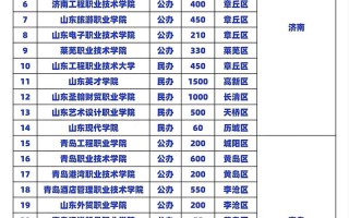 2025单招会计学校排名，哪些学校更值得选？