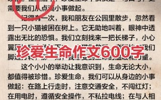 珍爱生命的议论文800