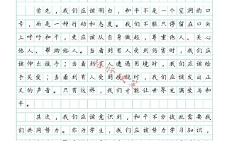 和平之路，何以筑牢未来基石？