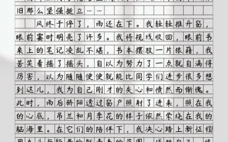 迎难而上议论文900