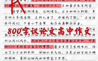 议论文800字加点评，如何写出深度与亮点？