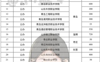 山东单招艺校排名怎么排？