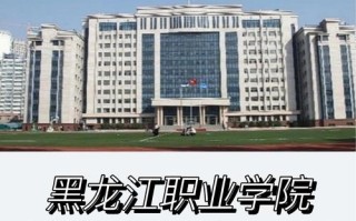 黑龙江职业技术学院单招怎么报？