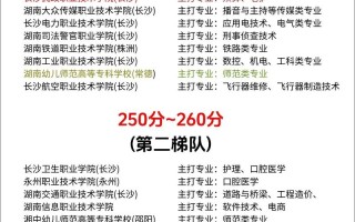 2025湖南单招条件有哪些具体要求？