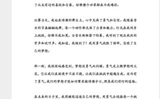 梦想 勇气 议论文
