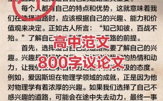 高中议论文800字如何赏析？