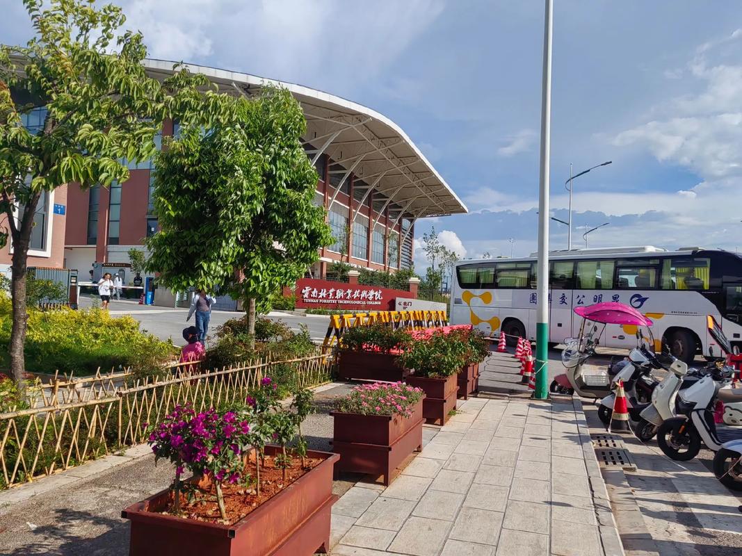 云南林业职业技术学院单招怎么报?-第1张图片-厚德教育培训 云南林业职业技术学院单招怎么报?-第1张图片-厚德教育培训