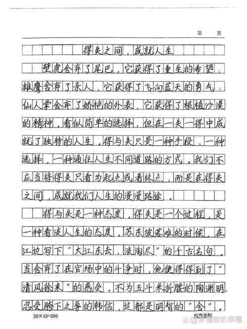 里约女子重剑，竞技精神与争议的博弈？-第2张图片-厚德教育培训