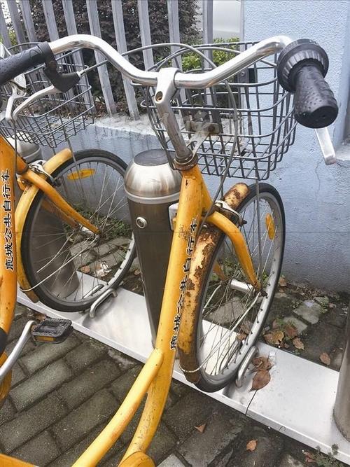 小黄车兴衰背后，共享经济如何可持续发展？-第2张图片-厚德教育培训