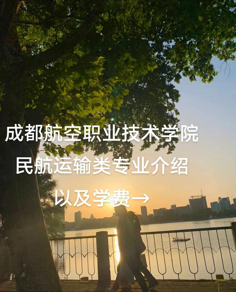 成都航空职院单招怎么报？-第2张图片-厚德教育培训