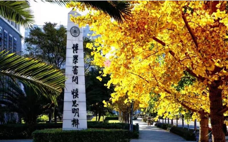 2025云南公办单招有何新变化?-第3张图片-厚德教育培训 2025云南公办单招有何新变化?-第3张图片-厚德教育培训