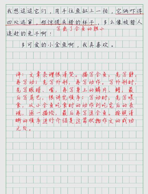 议论文 金鱼之死的启示-第1张图片-厚德教育培训