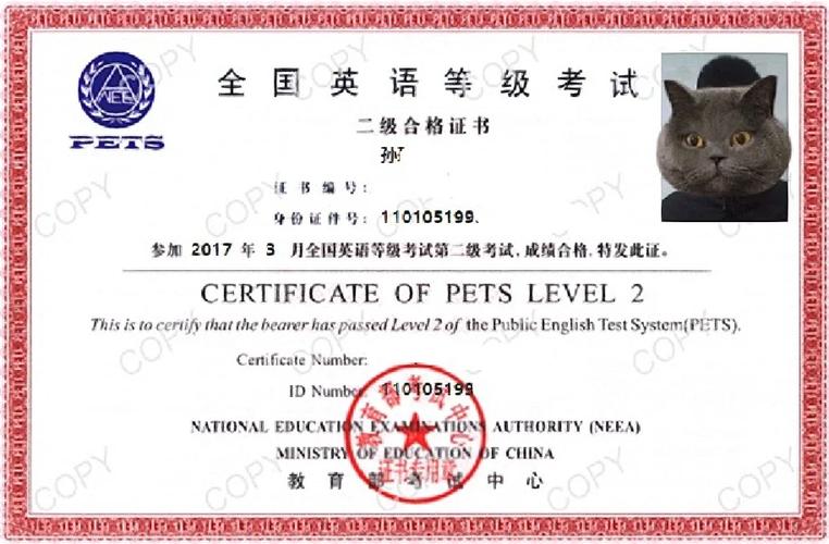 Pets4英语培训效果怎么样？-第1张图片-厚德教育培训