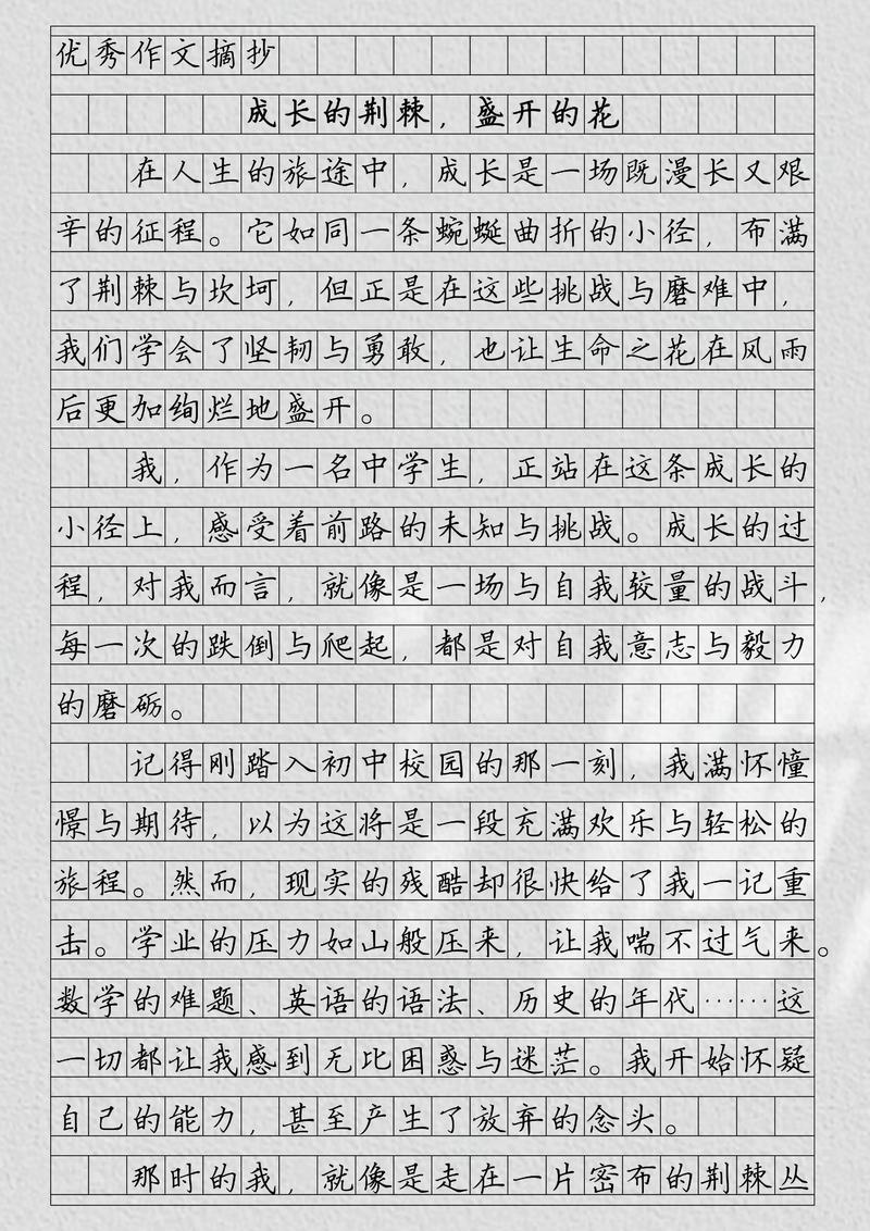 成长路上，我们该如何锻造议论文的灵魂？-第3张图片-厚德教育培训