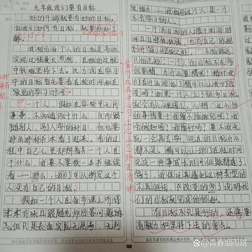 实践作文800字议论文-第1张图片-厚德教育培训