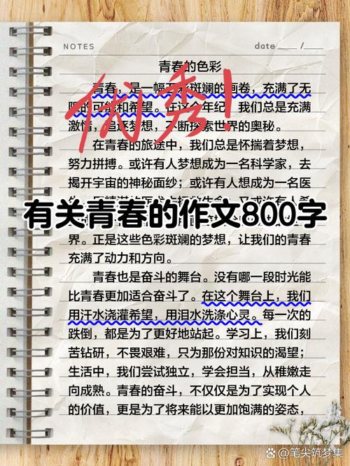 要珍惜青春800议论文-第1张图片-厚德教育培训 要珍惜青春800议论文-第1张图片-厚德教育培训