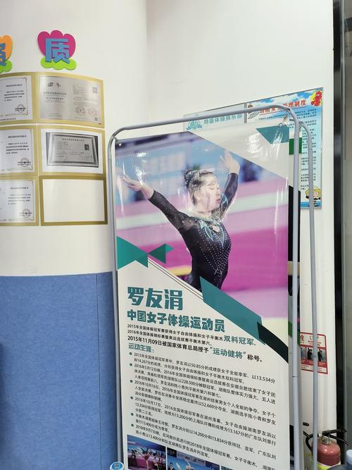 北京 体育单招培训机构-第1张图片-厚德教育培训