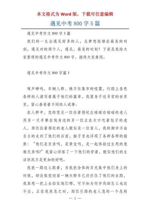 遇见作文800字议论文，遇见的意义何在？-第2张图片-厚德教育培训