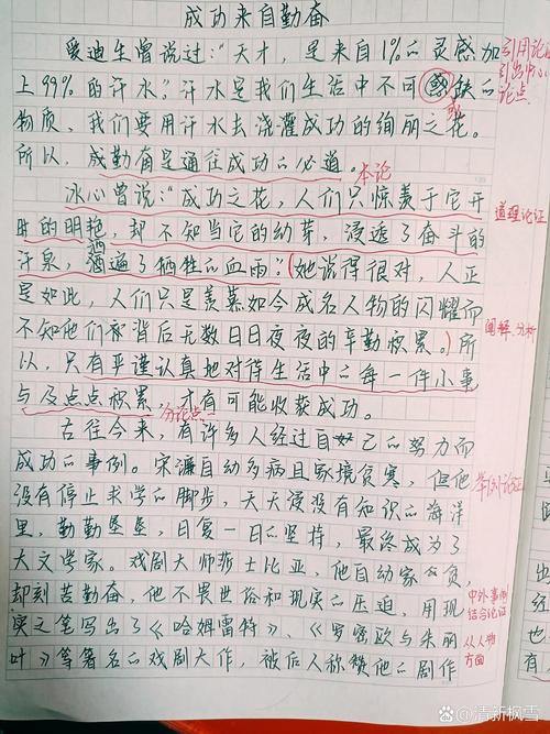勤奋作文800字议论文，勤奋真能铸就成功吗？-第2张图片-厚德教育培训