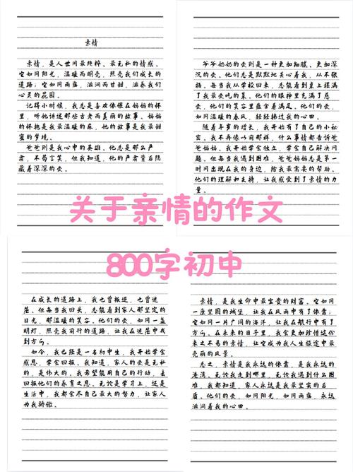 亲情议论文，亲情如何定义人生价值？-第1张图片-厚德教育培训