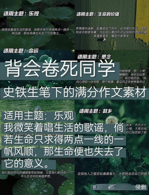 史铁生议论文素材，如何用苦难书写生命价值？-第3张图片-厚德教育培训