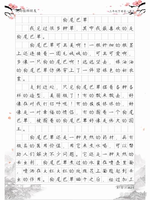 狗尾草何以成议论文经典素材？-第1张图片-厚德教育培训