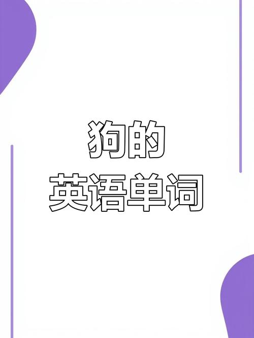 培训狗短语是什么英语-第1张图片-厚德教育培训