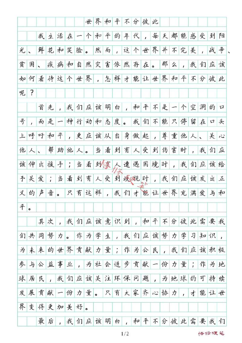 和平之路，何以筑牢未来基石？-第1张图片-厚德教育培训