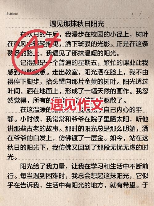 遇见在作文议论文中如何立意？-第2张图片-厚德教育培训