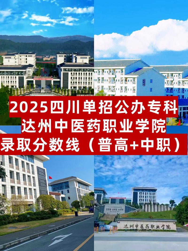 达州2025单招分数线大概多少？-第1张图片-厚德教育培训