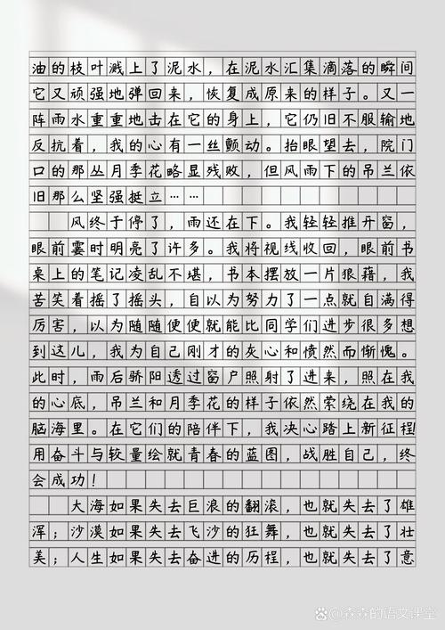 迎难而上议论文900-第1张图片-厚德教育培训