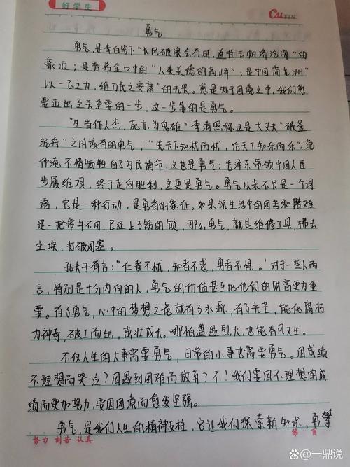 《勇气》议论文阅读-第3张图片-厚德教育培训