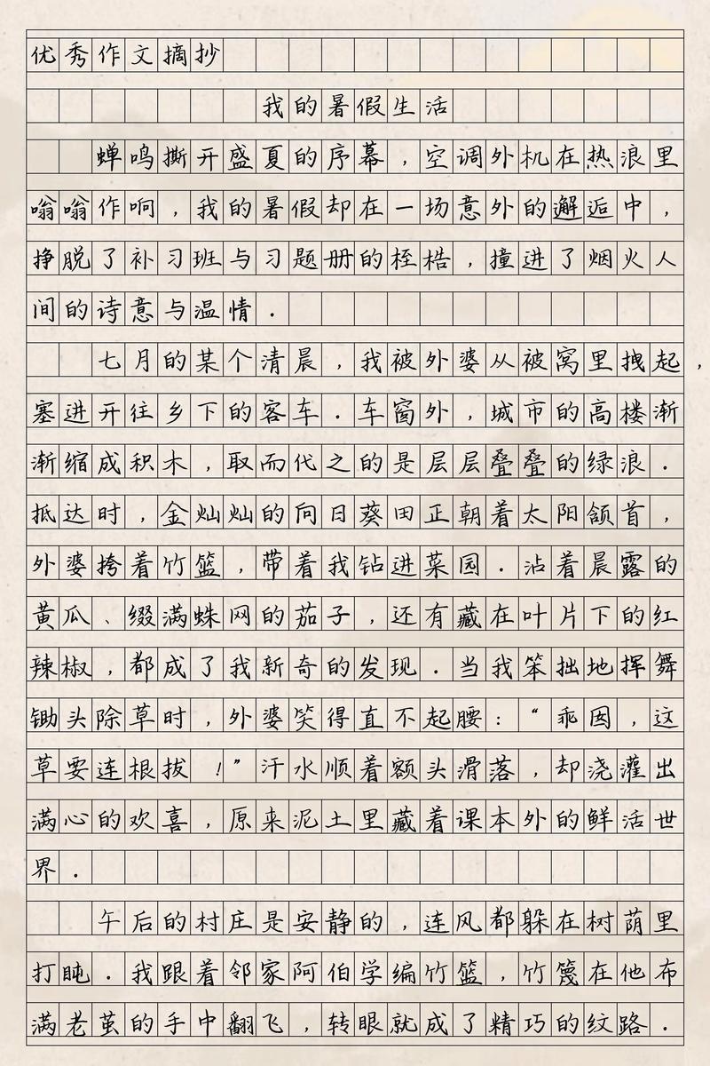 暑假，高中生应如何高效度过？-第2张图片-厚德教育培训