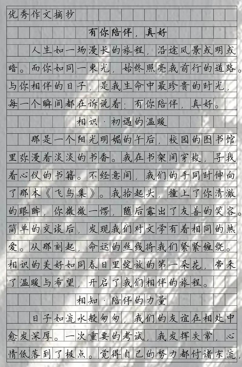 有关陪伴的高中议论文-第2张图片-厚德教育培训