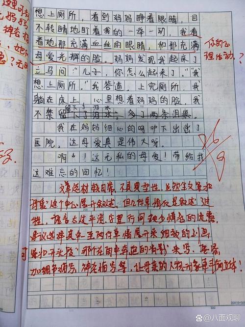 评价标准应如何确立才更合理？-第2张图片-厚德教育培训