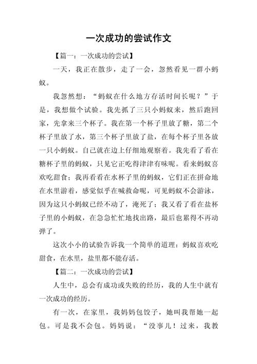 成功在于尝试的议论文-第2张图片-厚德教育培训