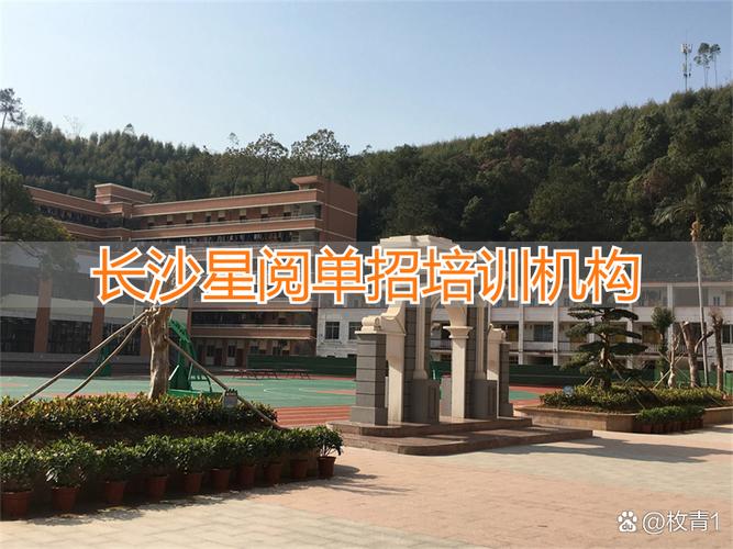 全国单招培训机构哪家好？-第3张图片-厚德教育培训