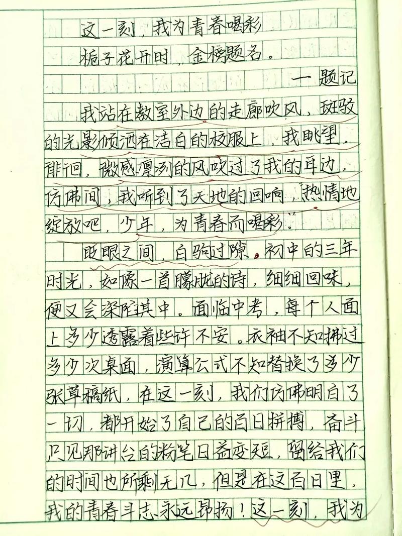 为何要为他人喝彩?其价值何在?-第3张图片-厚德教育培训 为何要为他人喝彩?其价值何在?-第3张图片-厚德教育培训