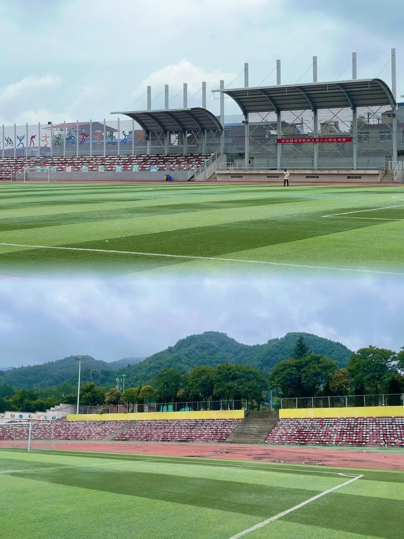 西安翻译学院单招怎么报名？-第3张图片-厚德教育培训