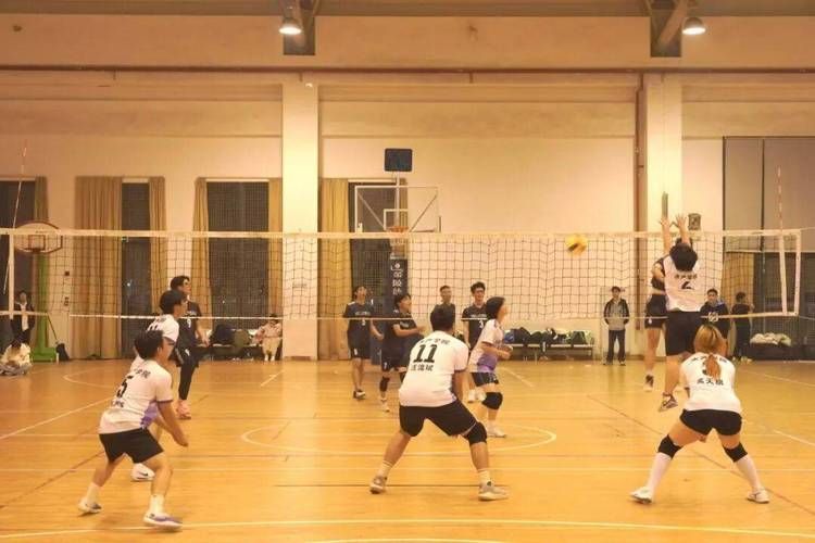 西南大学单招体育排球有何报考要求？-第3张图片-厚德教育培训