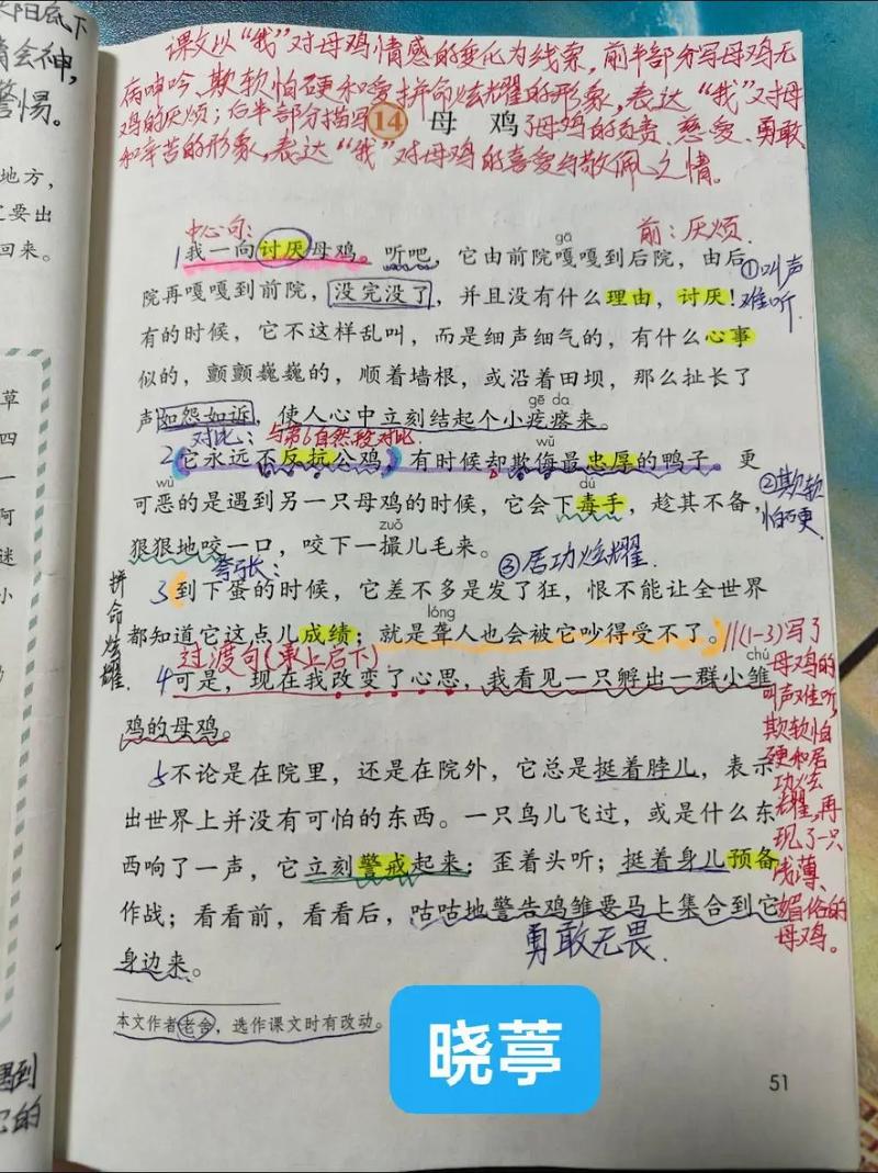 小鸡问母鸡,问题背后藏着什么?-第2张图片-厚德教育培训 小鸡问母鸡,问题背后藏着什么?-第2张图片-厚德教育培训