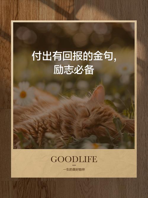 付出才有收获 议论文-第3张图片-厚德教育培训