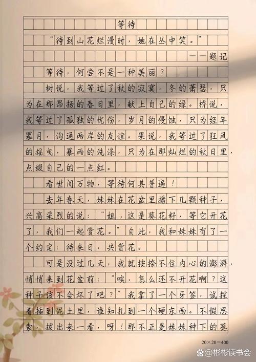 学会等待，究竟有何智慧？-第2张图片-厚德教育培训