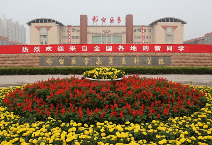 河北单招邢台医学专科咋报名？-第1张图片-厚德教育培训