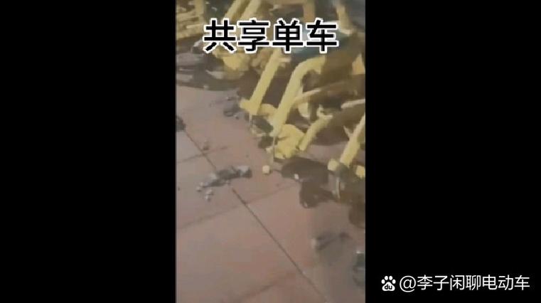 共享单车为何频遭破坏？-第2张图片-厚德教育培训